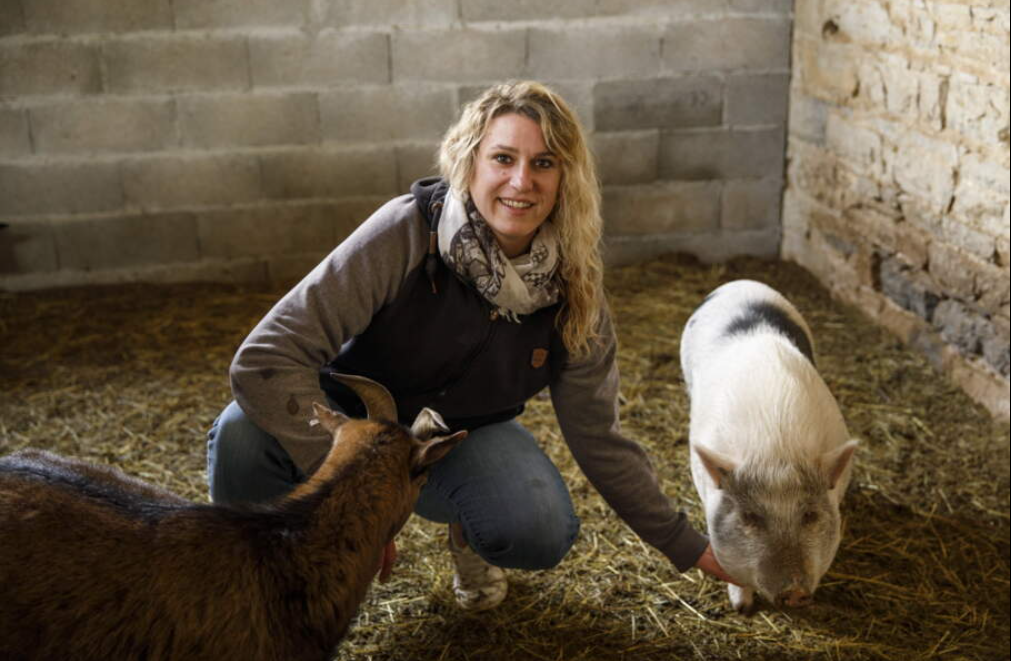 Capture d&rsquo;&eacute;cran 2025-12-30 133510.png (924 KB)