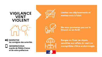 Vigilance-orange-vent-violent_large.jpg (13 KB)