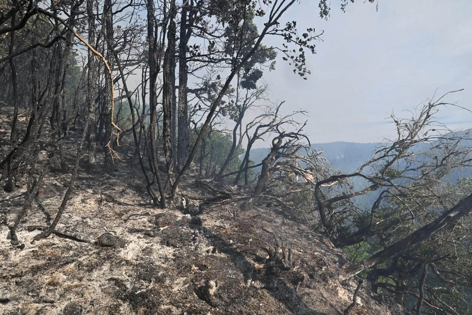 incendie nantua.jpg (264 KB)