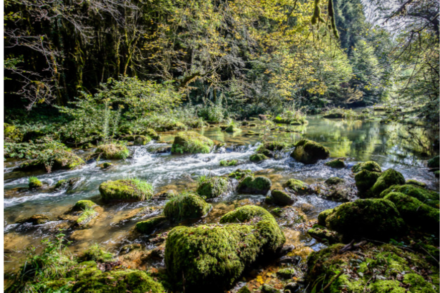 Une randonneuse fait une chute de 7 mètres!